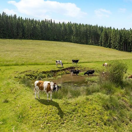 Ferienwohnung Duffner Schonach im Schwarzwald Экстерьер фото