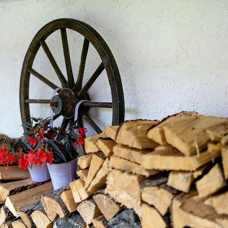 Ferienwohnung Duffner Schonach im Schwarzwald Экстерьер фото