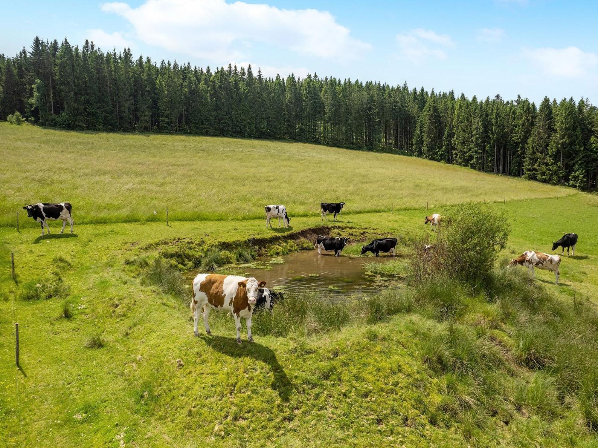Ferienwohnung Duffner Schonach im Schwarzwald Экстерьер фото