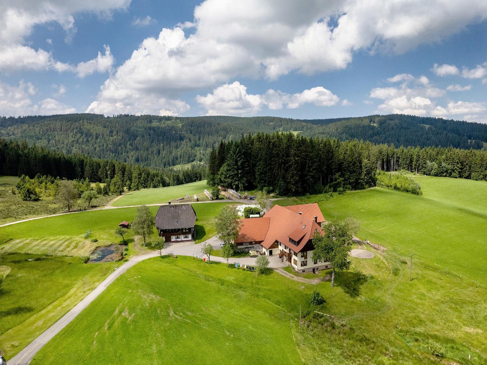 Ferienwohnung Duffner Schonach im Schwarzwald Экстерьер фото