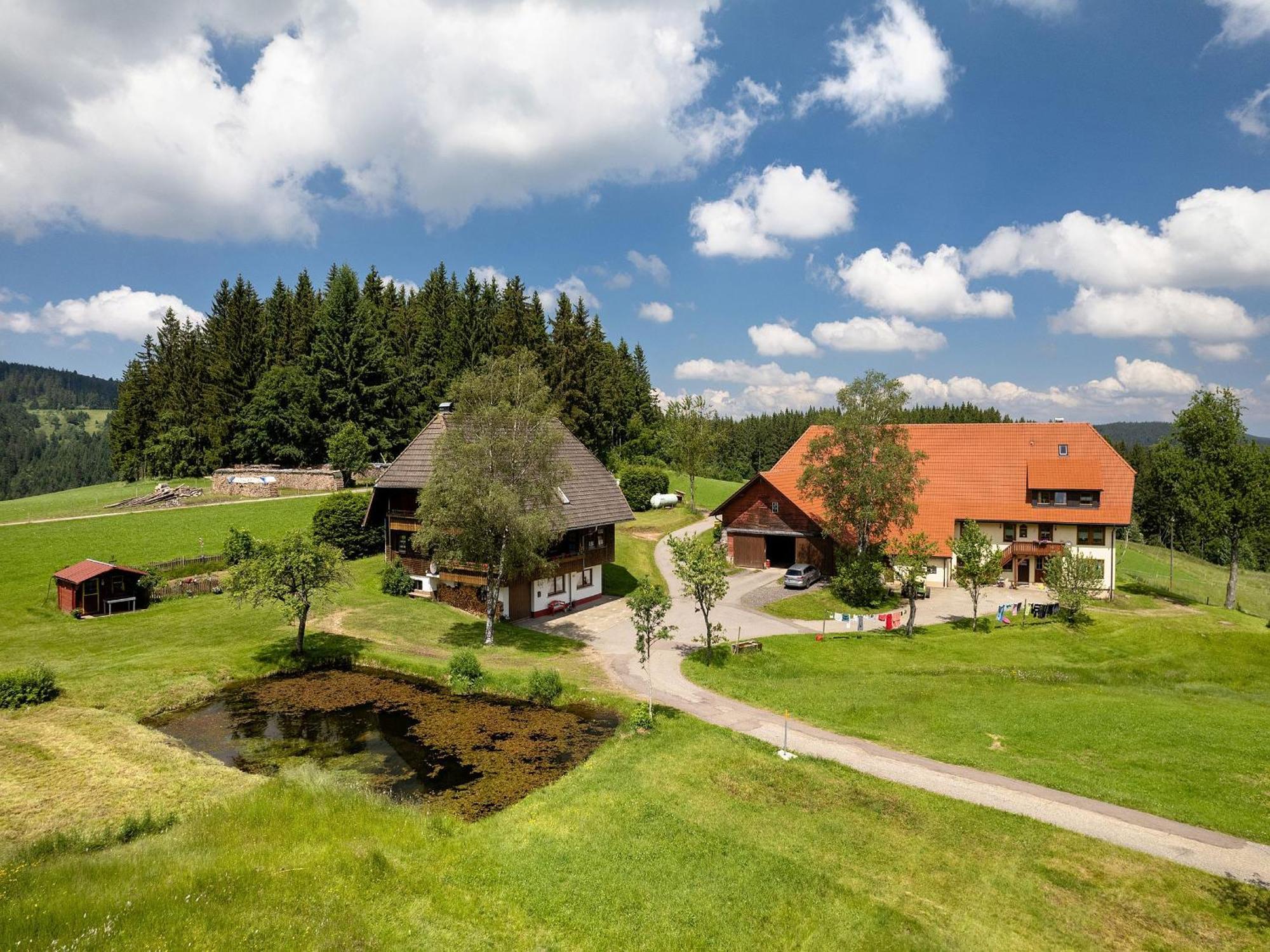 Ferienwohnung Duffner Schonach im Schwarzwald Экстерьер фото