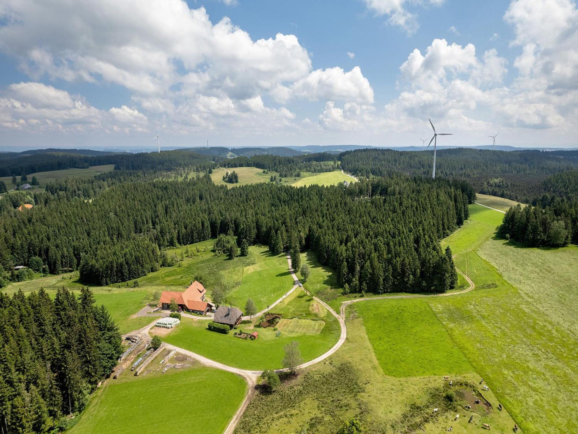 Ferienwohnung Duffner Schonach im Schwarzwald Экстерьер фото
