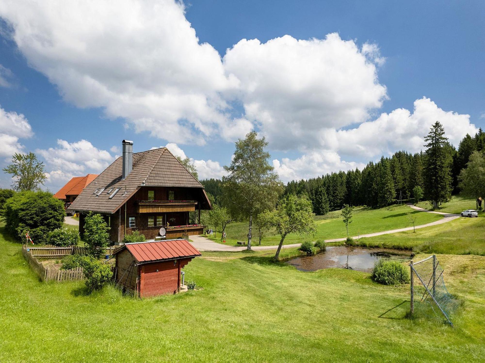 Ferienwohnung Duffner Schonach im Schwarzwald Экстерьер фото